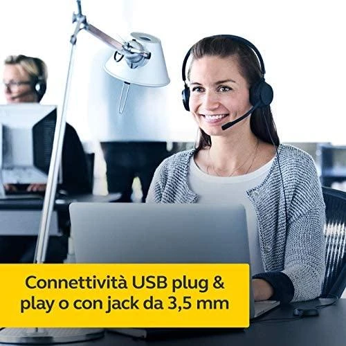 Ausinės JABRA EVOLVE 30 II Mono MS