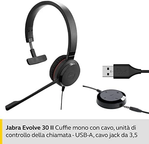 Ausinės JABRA EVOLVE 30 II Mono MS