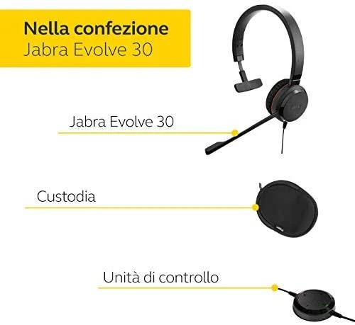 Ausinės JABRA EVOLVE 30 II Mono MS