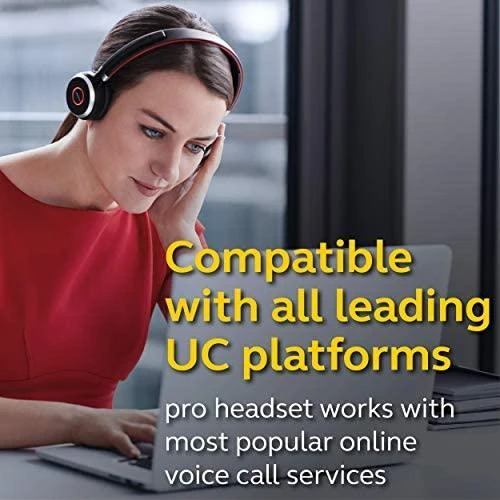 Ausinės JABRA Evolve 65 MS Duo USB
