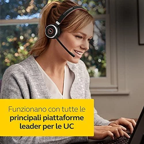 Ausinės JABRA Evolve 65 MS Duo USB