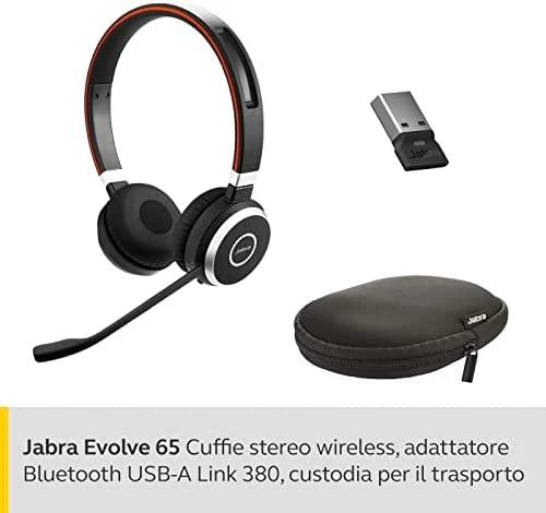 Ausinės JABRA Evolve 65 MS Duo USB