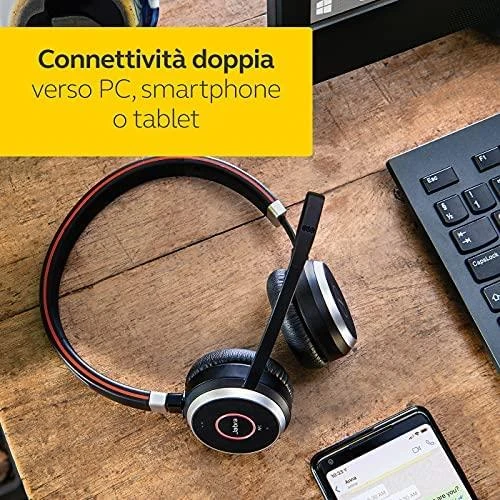 Ausinės JABRA Evolve 65 MS Duo USB