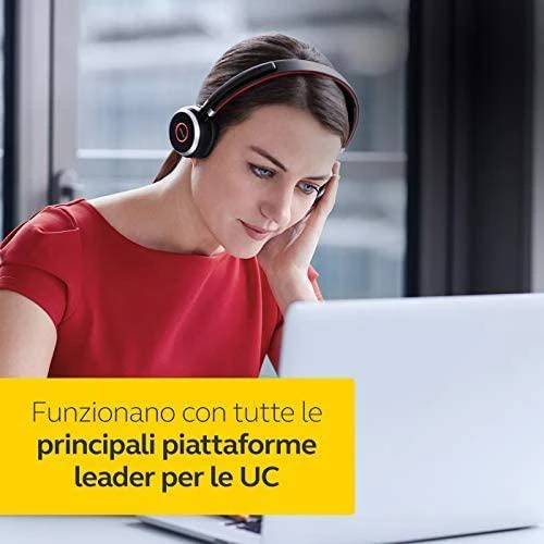 Ausinės JABRA Evolve 65 MS Duo USB