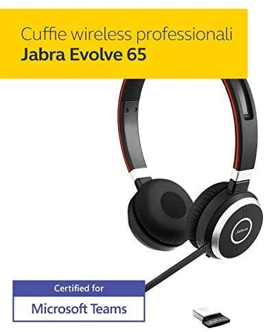 Ausinės JABRA Evolve 65 MS Duo USB