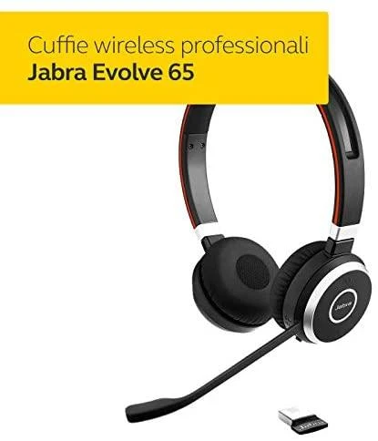 Ausinės JABRA Evolve 65 MS Duo USB