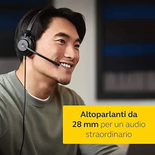 Ausinės Jabra 23089-899-879