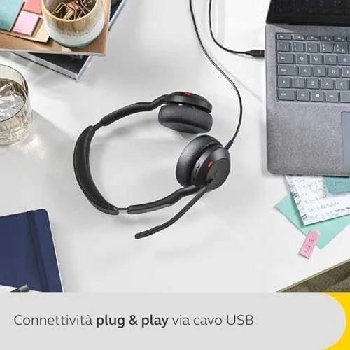 Ausinės Jabra Evolve2 50 USB-C, UC, Stereo, juodos spalvos