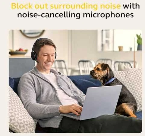 Ausinės Jabra Evolve2 65 Flex MS Stereo