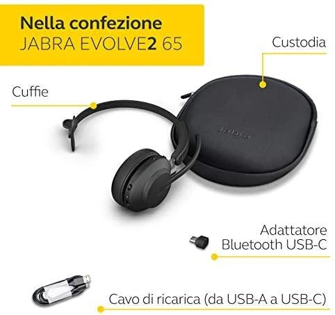 Ausinės Jabra Evolve2 65 Link380c UC Mono