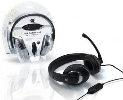 Logitech | LGT-H110 | Stereo ausinės | Juodas, Sidabrinis