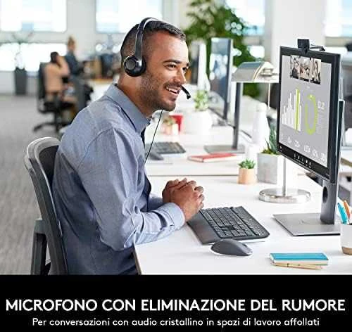 Universalios ausinės Logitech H390, su mikrofonu, USB jungtis