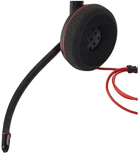 Ausinės Plantronics Blackwire C3210 USB-A, 209744-101