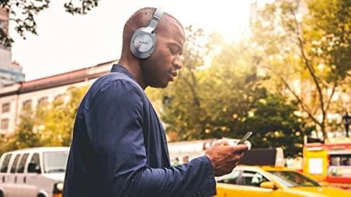 Ausinės Technics EAH-A800E-K, Sidabrinės spalvos