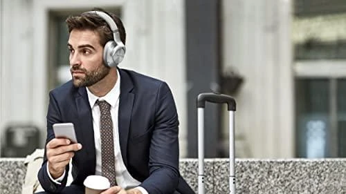 Ausinės Technics EAH-A800E-K, Sidabrinės spalvos