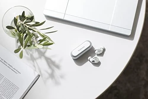 Ausinės Technics EAH-AZ60E-S, Sidabrinės spalvos
