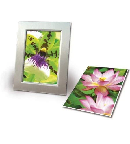 Avery Zwckform Premium High Gloss fotopopierius 250g A4