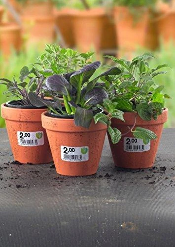 Lipnios etiketės Avery Zweckform, A4, nuimamos, 63.5×29.6mm, 27 etiketės lape, 25 lapai