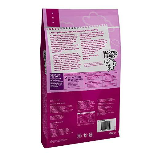 Barking Heads Doggylicious begrūdis su antiena 12kg