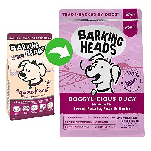 Barking Heads Doggylicious begrūdis su antiena 12kg