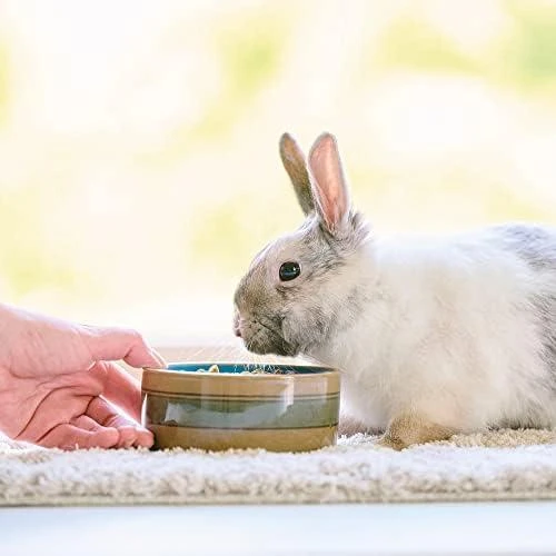 BEAPHAR Care+ Rabbit - triušių maistas - 1,5kg