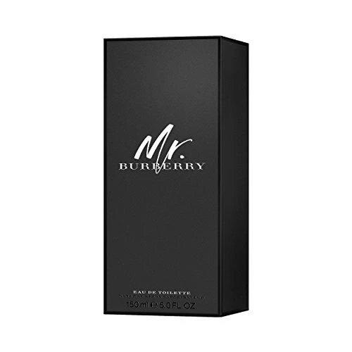 Mr. Burberry EDT tualetinis vanduo vyrams, 150 ml