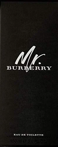 Mr. Burberry EDT tualetinis vanduo vyrams, 150 ml