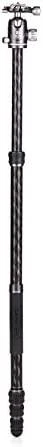 Benro Bat 24C+VX25
