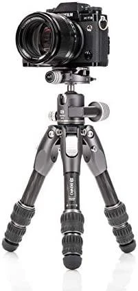 Benro Tortoise 03C+GX25