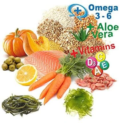 PRODAC BETTA FOOD granulės gaideliams 100ml 40g