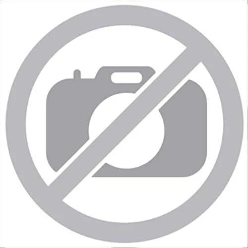 BFT ALENA SW2 230V valdymo blokas D113811 00004