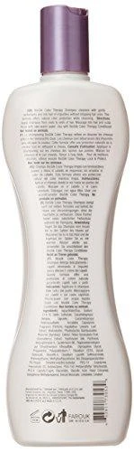 Dažytų plaukų šampūnas Biosilk Color Therapy Šampūnas 355 ml