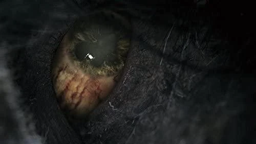 „Fromsoftware Bloodborne: Game Of The Year Edition“ PS4