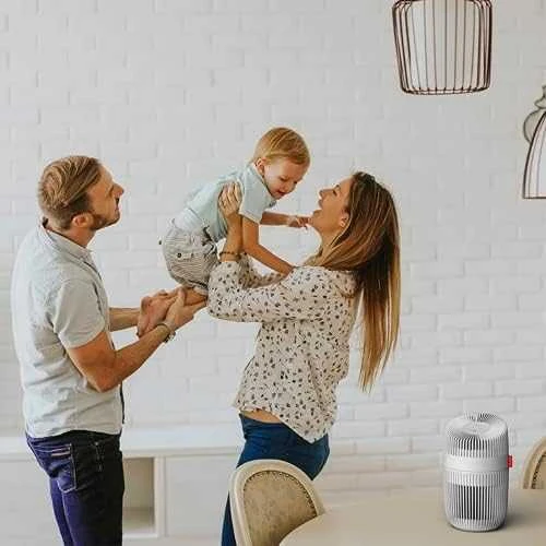 Oro valytuvas Boneco Air Purifier P130