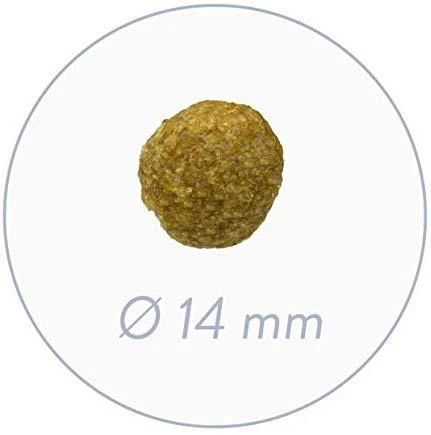Specialus lengvas 12,5kg