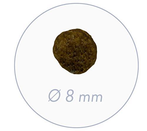bosch Dog PUPPY 7,5kg