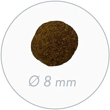 Sausas Šunų Maistas - Bosch Mini Junior - 3 Kg