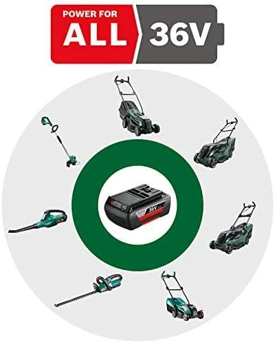 Bosch Starter SET 36 V 2Ah/ 2A Akum kroviklis 36V