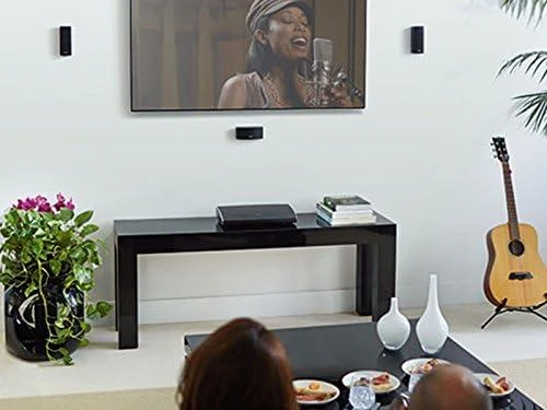 Bose® UB-20 Series II sieninis/lubų laikiklis
