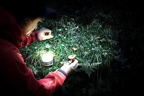 Šviestuvas Brennenstuhl OLI 0300 A; LED; 3,7 V; 3,0 Ah akum.