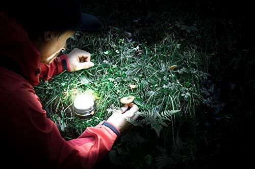 Šviestuvas Brennenstuhl OLI 0300 A; LED; 3,7 V; 3,0 Ah akum.