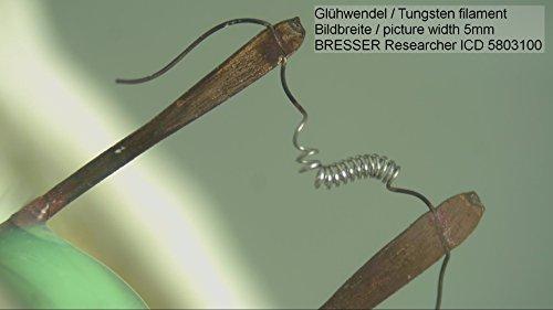 Dėlionė Stereomikroskopas BRESSER RESEARCHER ICD LED 20X-80X