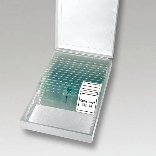 Mikroskopas Bresser 50x-2000x LCD Microscope 8,9cm (3,5 )