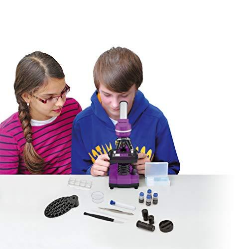 Mikroskopas Bresser Junior Biolux SEL 40–1600x, violetinis