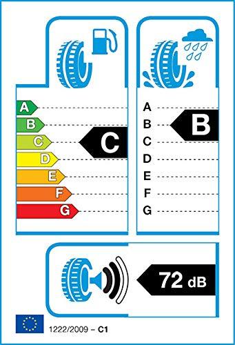 Bridgestone Padangos Blizzak LM001 105 V XL * RunFlat (C B 72dB)