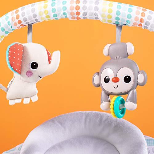 Kids Ii Juvenile BRIGHT STARTS sūpuoklės Whimsical Wild