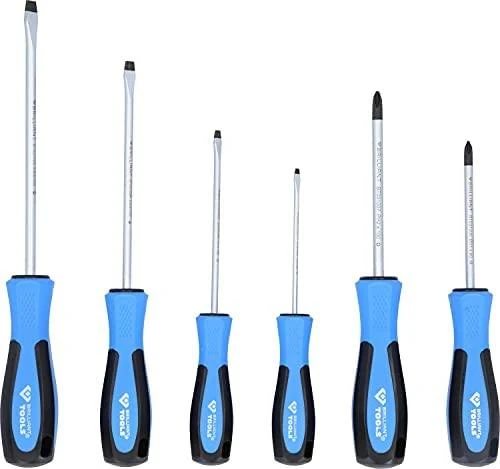 6 dalių atsuktuvų rinkinys KS TOOLS BT031000