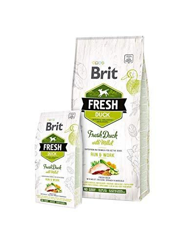 Brit Fresh Dog antiena su soros Active Run&Work 12kg