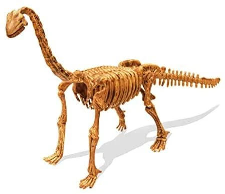 Dėlionė Tyrimų rinkinys, Brachiozaur, Buki DinoKit
