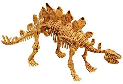 Tyrimų rinkinys, Stegosaurus, Buki DinoKit